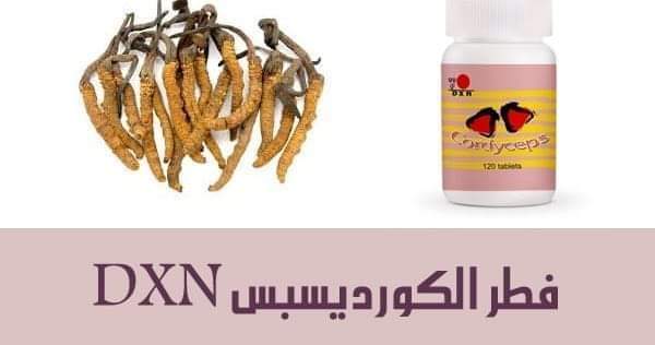 فطر الكورديسبس dxn