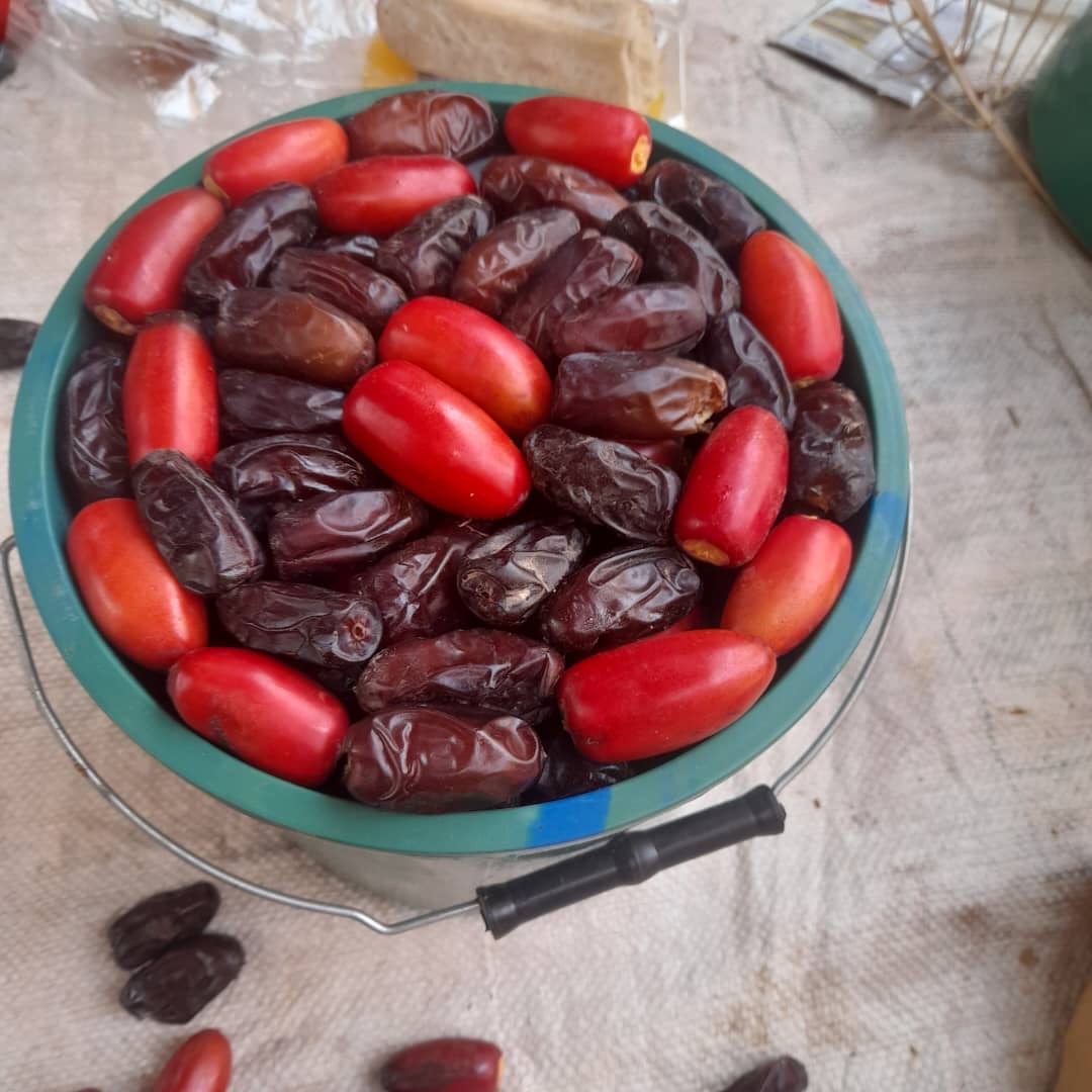 اجود انواع التمور